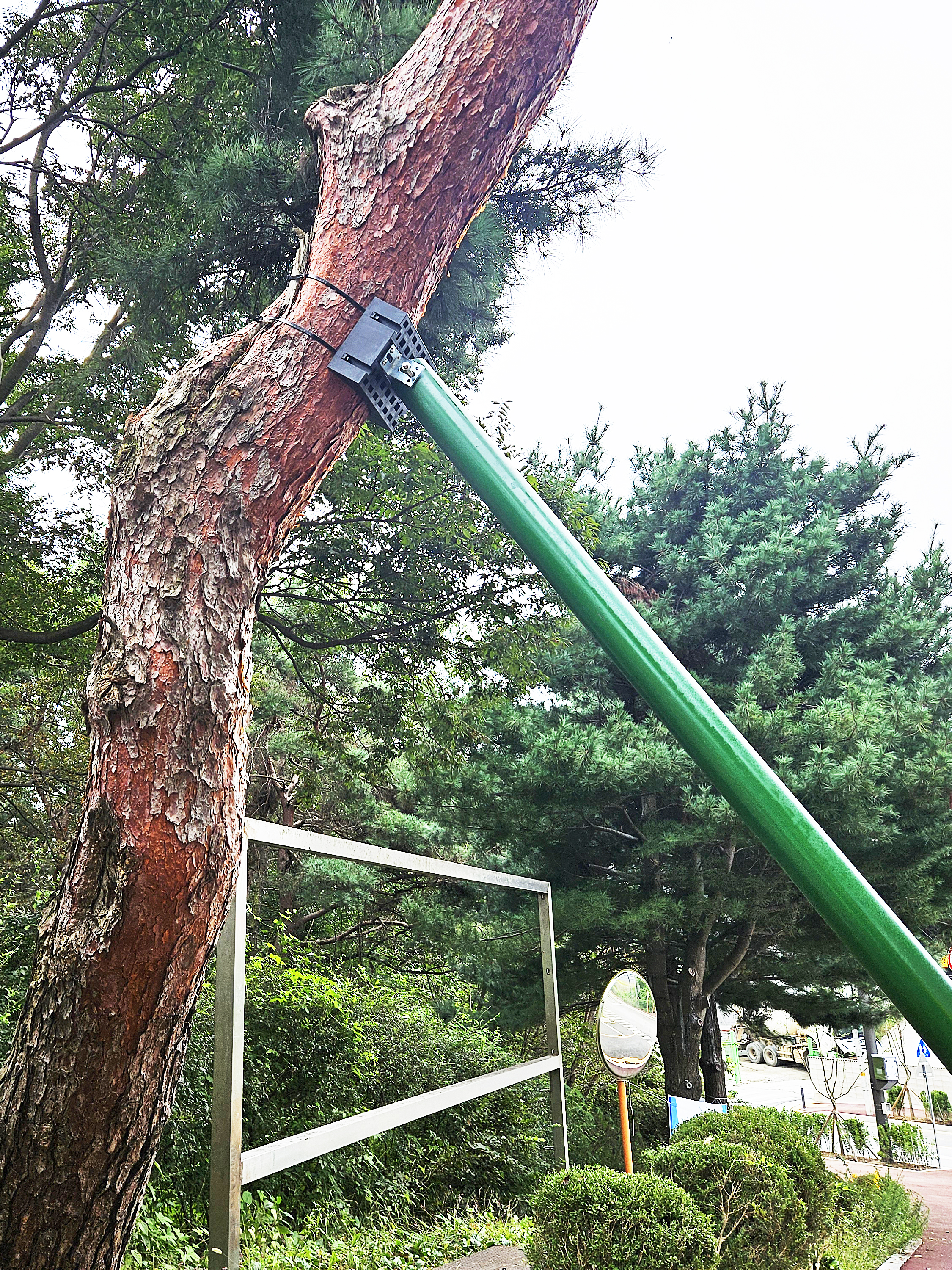 나무척 실제 현장 적용 사례